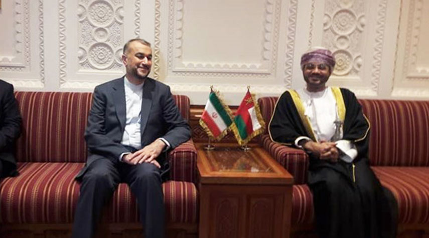 وزير الخارجية يجري محادثات مع نظيره العماني في مسقط