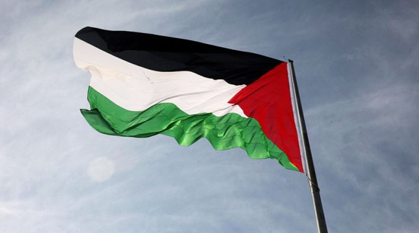 "ارفع عَلمك"... حملة كبرى لرفع علم فلسطين غدًا في كل الميادين