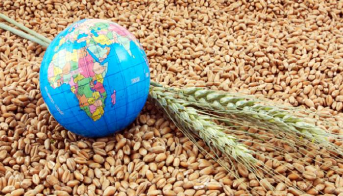 التضخم يهدد الأمن الغذائي في العالم
