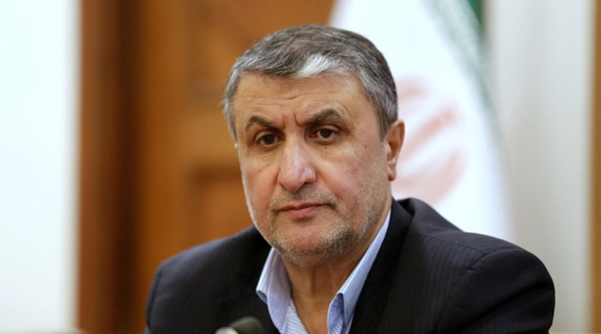 رئيس منظمة الطاقة الذرية الإيرانية: الوكالة الدولية الذرية رهينة الصهاينة