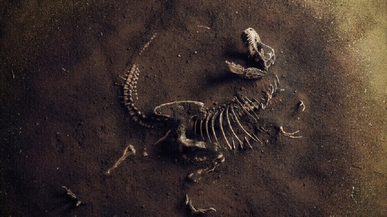 بريطانيا.. العثور على عظام أكبر ديناصور آكل للحوم