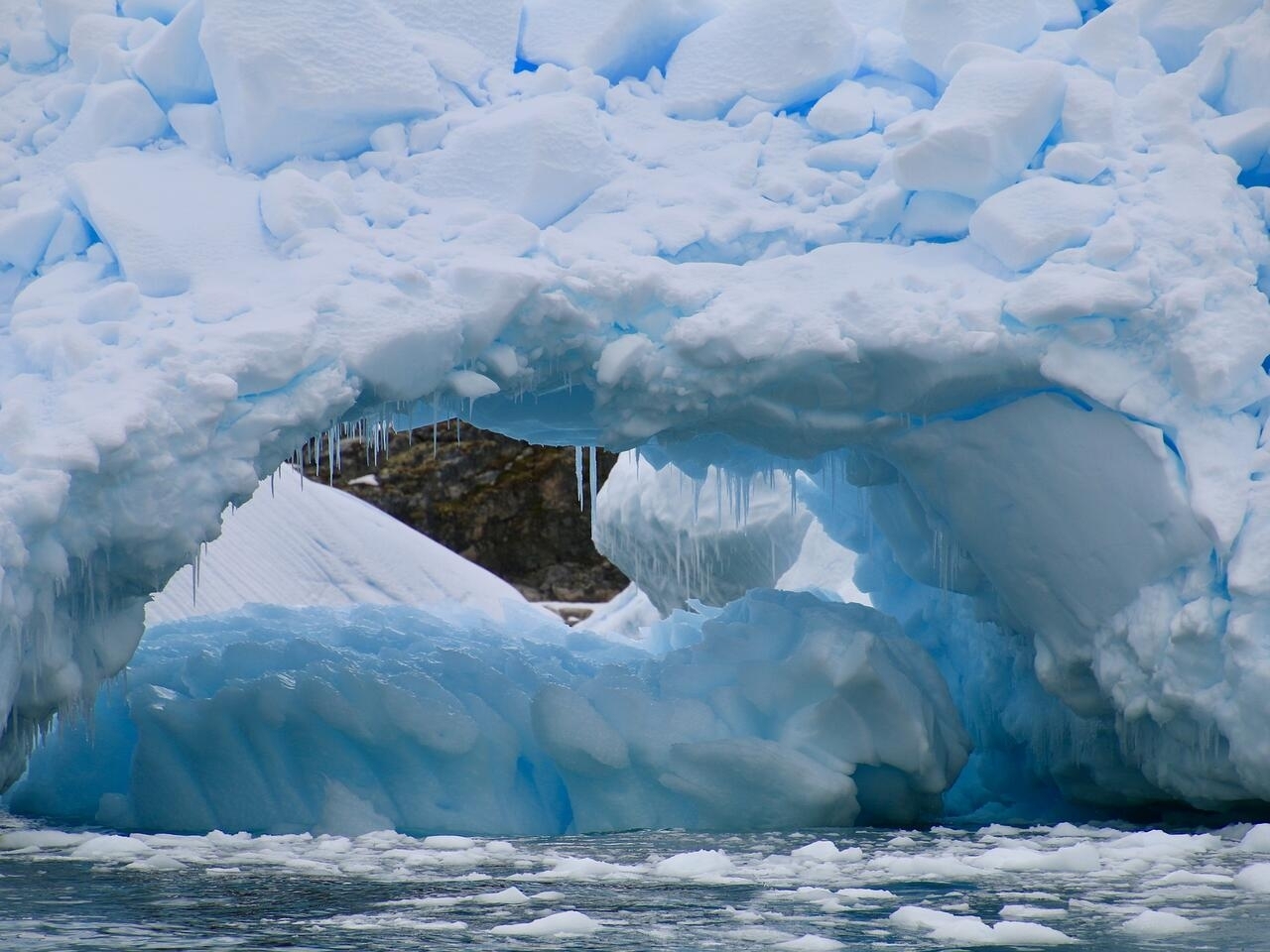 اكتشاف نظام بيئي جديد تحت جليد القطب الجنوبي