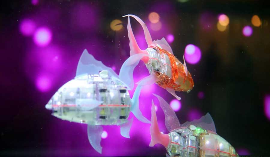 الأسماك الروبوتية.. إبتكار لتنظيف المحيطات من النفايات البلاستيكية
