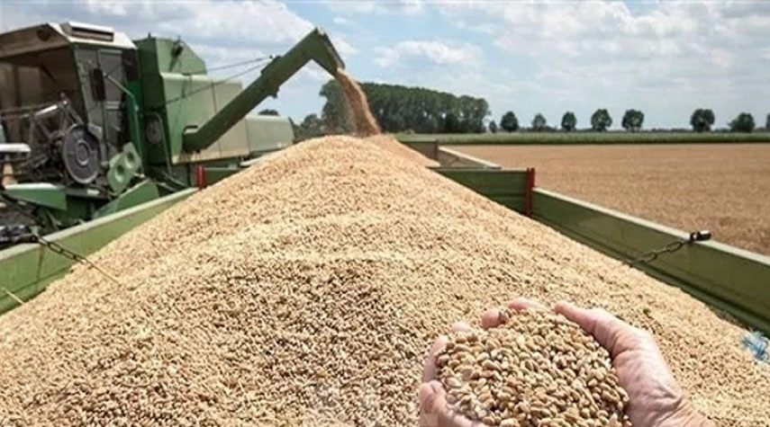 "وول ستريت جورنال" تكشف نقاط الاتفاق الشامل لتصدير الحبوب الأوكرانية