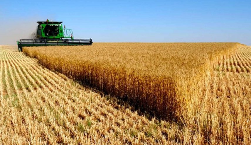 مشتريات ايران من القمح المحلي تتجاوز 5 ملايين طن