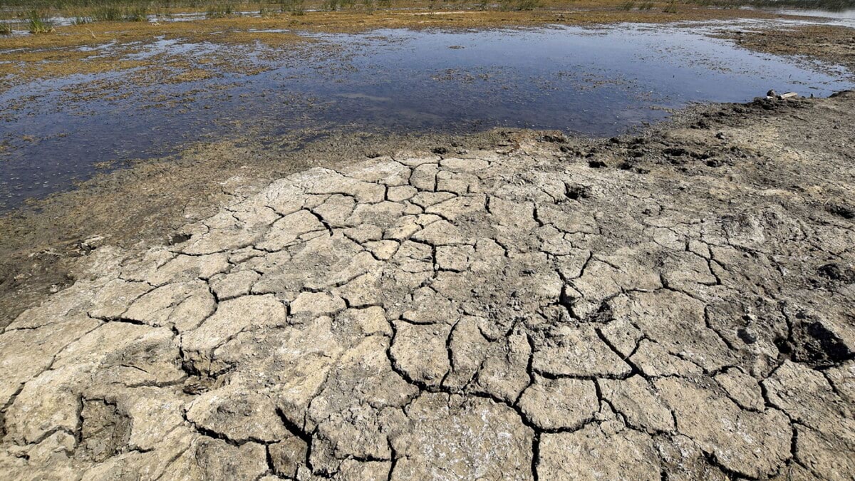 الجفاف يهدد نصف أراضي الاتحاد الأوروبي