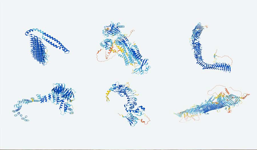 ثورة طبية في فهم البروتينات.. الذكاء الاصطناعي يتنبأ ببنية كل بروتين على الإطلاق!