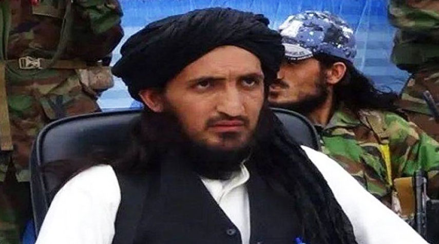 مقتل زعيم حركة طالبان الباكستانية في أفغانستان