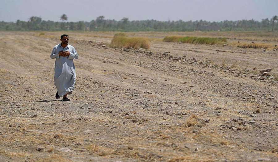 الأمم المتحدة تحذر من أكبر هجرة زراعية في 3 محافظات عراقية