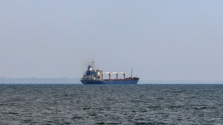 سفينة تحمل الحبوب الأوكرانية لم تستطع مغادرة ميناء تشيرنومورسك