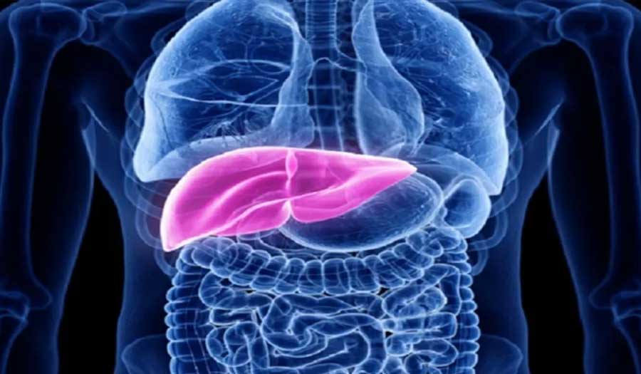 مركبات الفلور العضوية في الجسم يطور سرطان الكبد