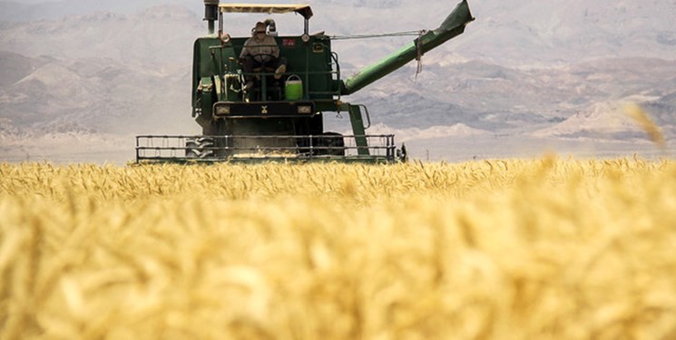 نمو مشتريات إيران من القمح المحلي 