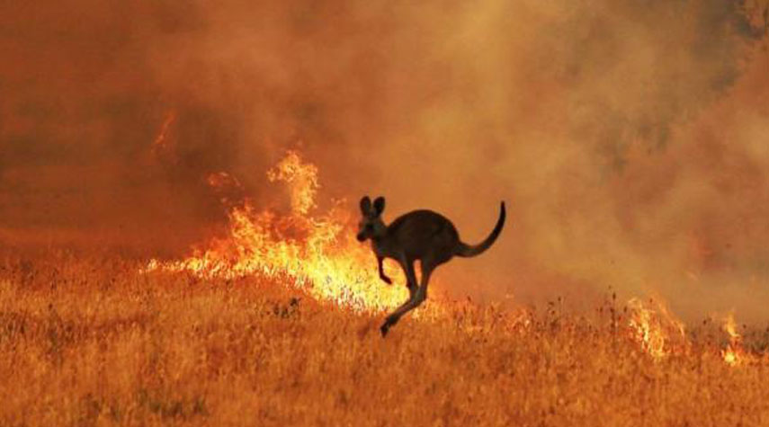 دراسة... حرائق أستراليا عامي 2019 و2020 أضرت بطبقة الأوزون