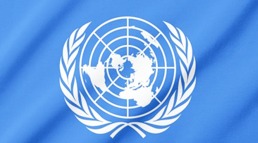 الأمم المتحدة تطلب من المتظاهرين مغادرة المنطقة الخضراء