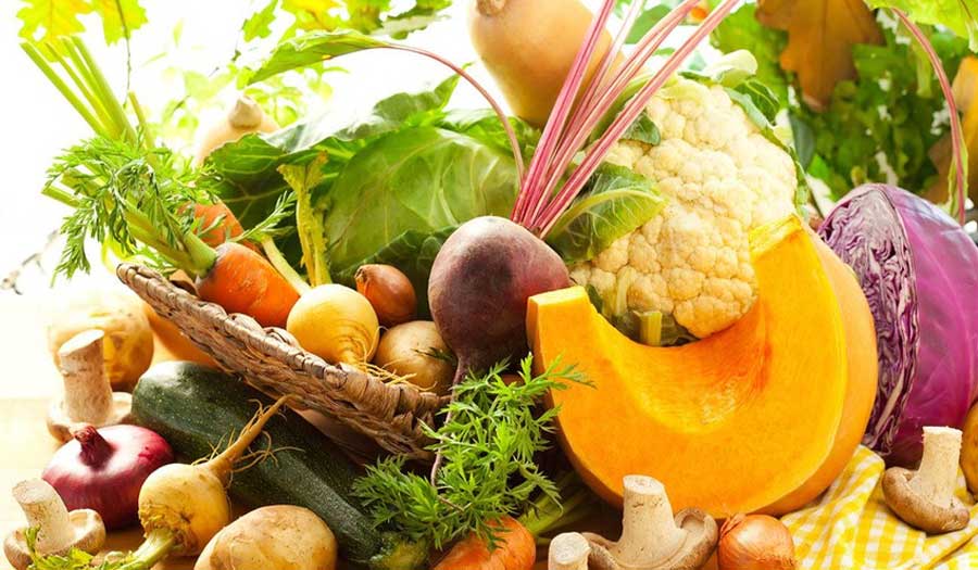 ما هي أفضل المواد الغذائية للجسم في الخريف والشتاء؟