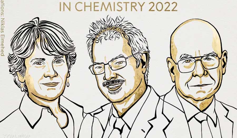 الإعلان عن الفائزين بجائزة نوبل للكيمياء 2022