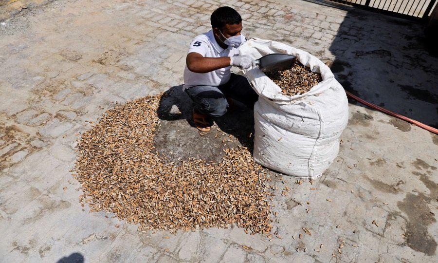 بالصور من الهند.. إعادة تدوير أعقاب السجائر إلى حشو للدمى 