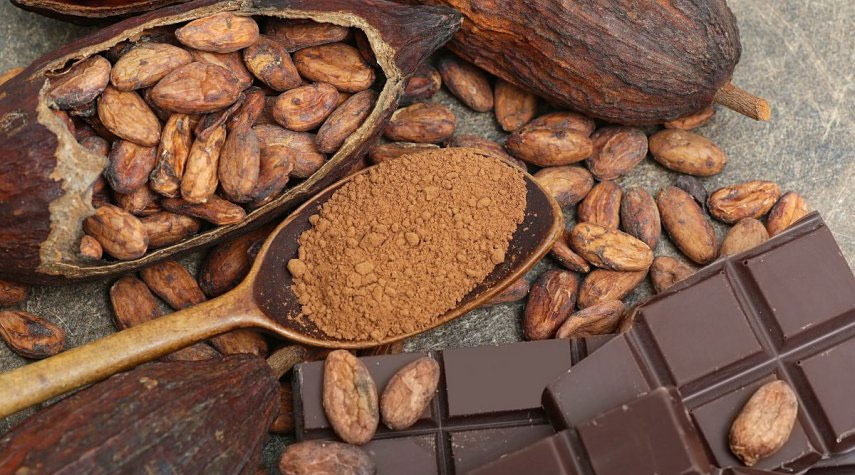 الكاكاو يقلل من خطر 3 أسباب رئيسية للوفاة في العالم