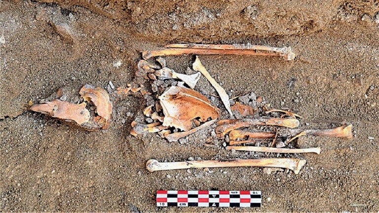اكتشاف أثري جديد في مصر 