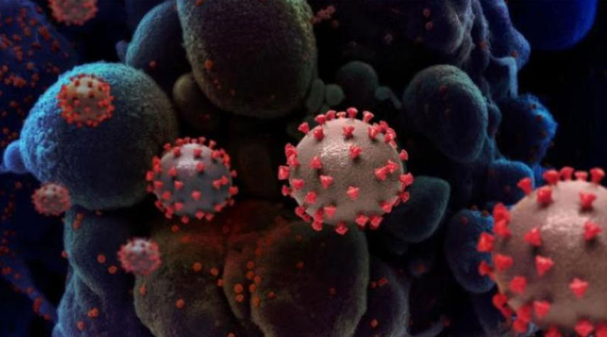 علماء ألمان يفجرون مفاجأة مدوية عن منشأ فيروس كورونا!