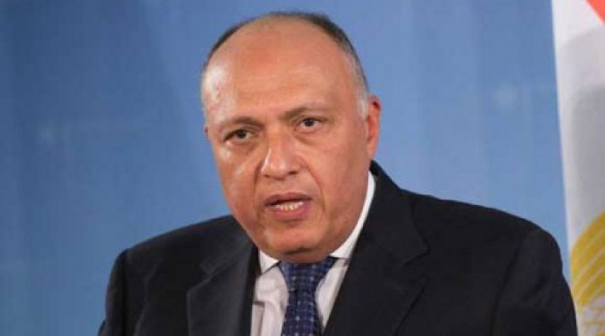 وزير الخارجية المصري: ليس هناك حل عسكري للصراع في اليمن