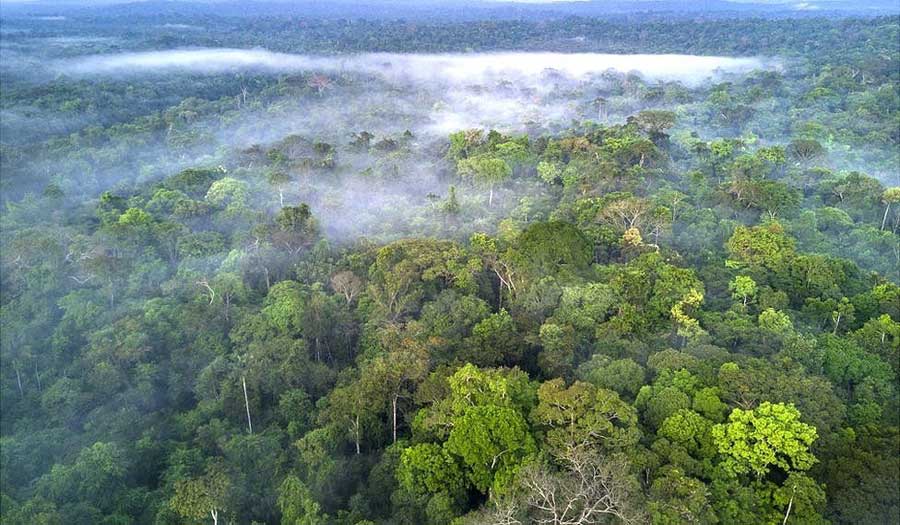 مادورو يدعو الدول الغنية إلى تمويل الدفاع عن غابات الأمازون المطيرة