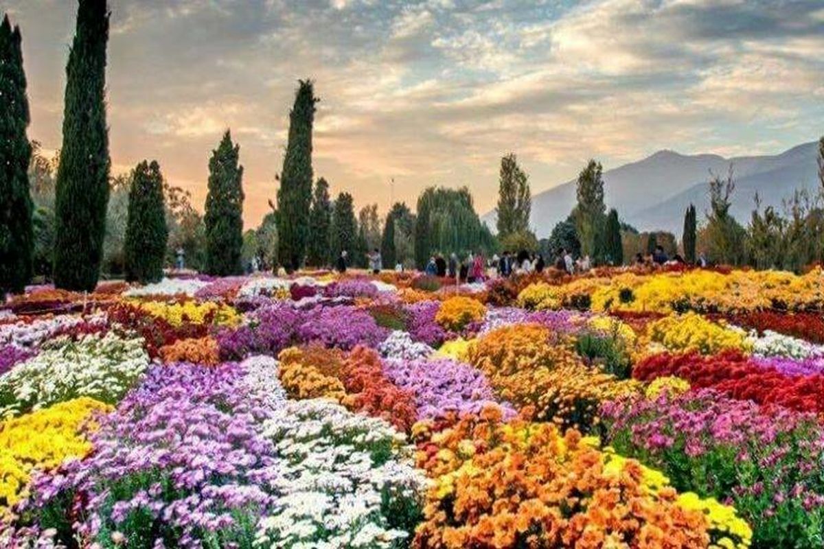 بالصور من إيران.. مهرجان الورود والأزهار في طهران