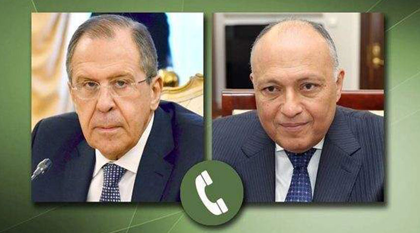 مصر وروسيا تبحثان توسيع التعاون بينهما