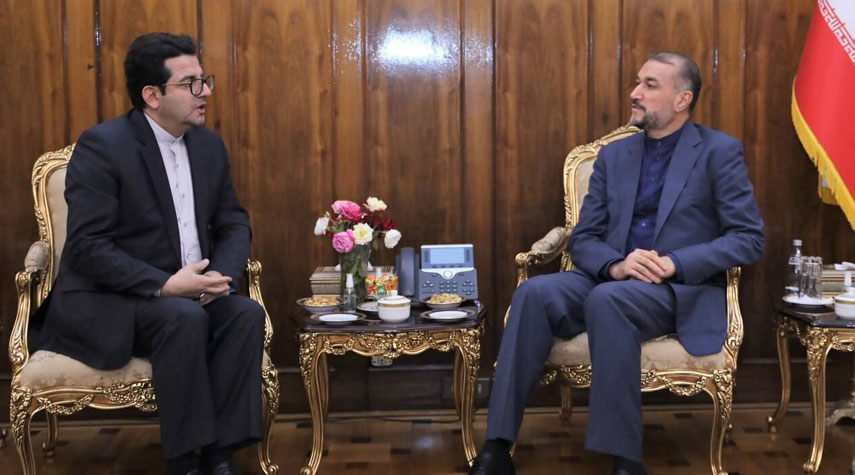 وزير الخارجية الإيراني يؤكد على العلاقات الطبية مع دول الجوار