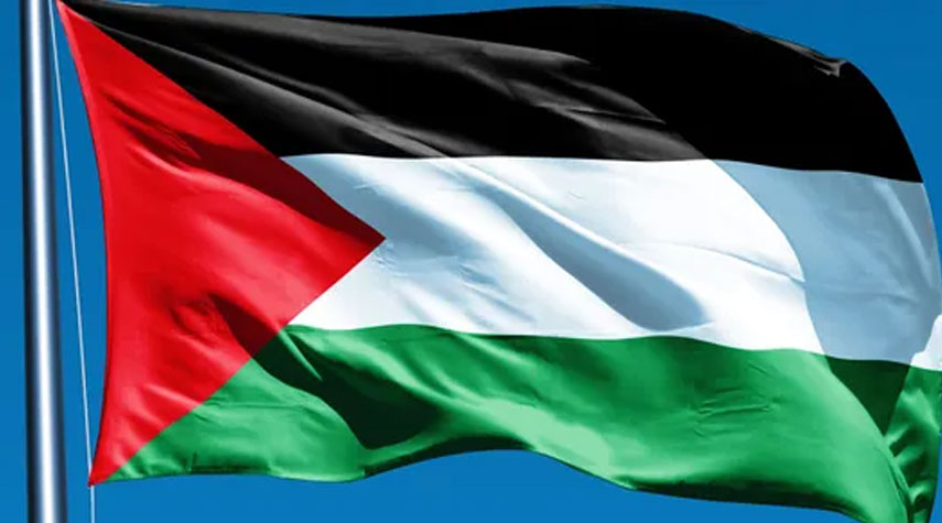 العفو الدولية تندد قرارا يحظر رفع الأعلام الفلسطينية