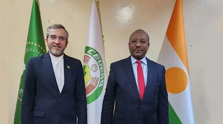 مساعد وزير الخارجية الإيراني يلتقي وزير الخارجية النيجري