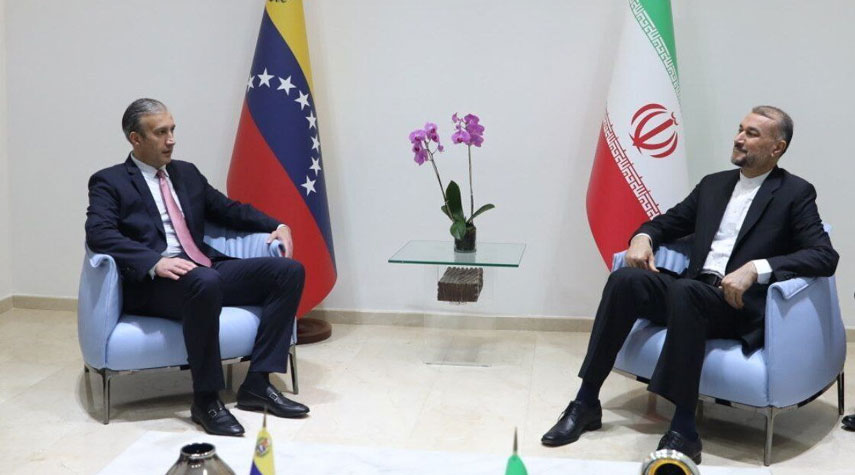 وزير الخارجية الإيراني يلتقي وزير النفط الفنزويلي