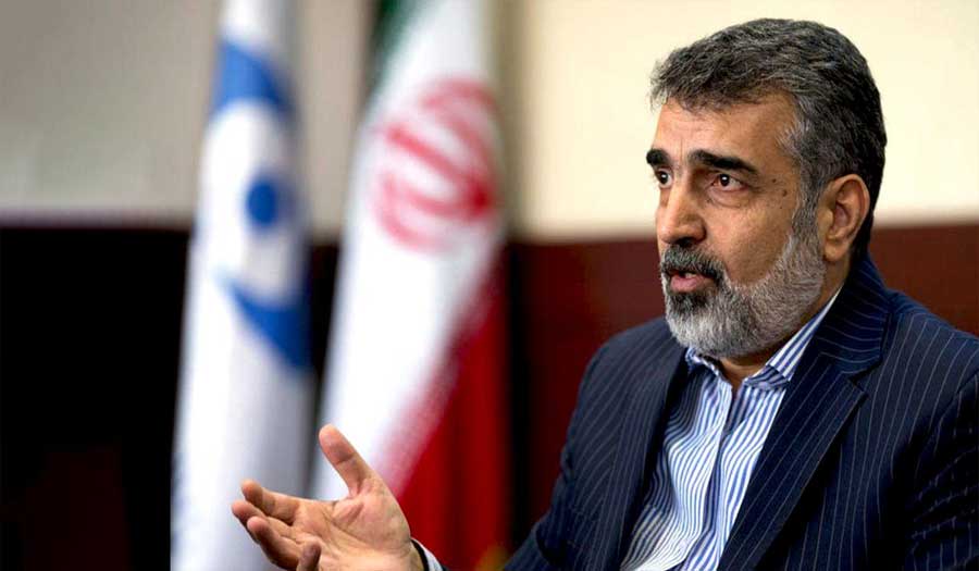 كمالوندي: أجبنا على جميع أسئلة الوكالة الذرية .. وإجراءات الوكالة تجاه إيران غير منطقية