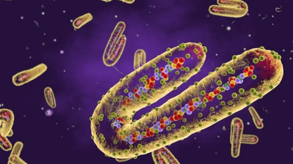 دولة أوروبية تعلن تسجيل اول إصابة بفيروس "ماربورغ"!