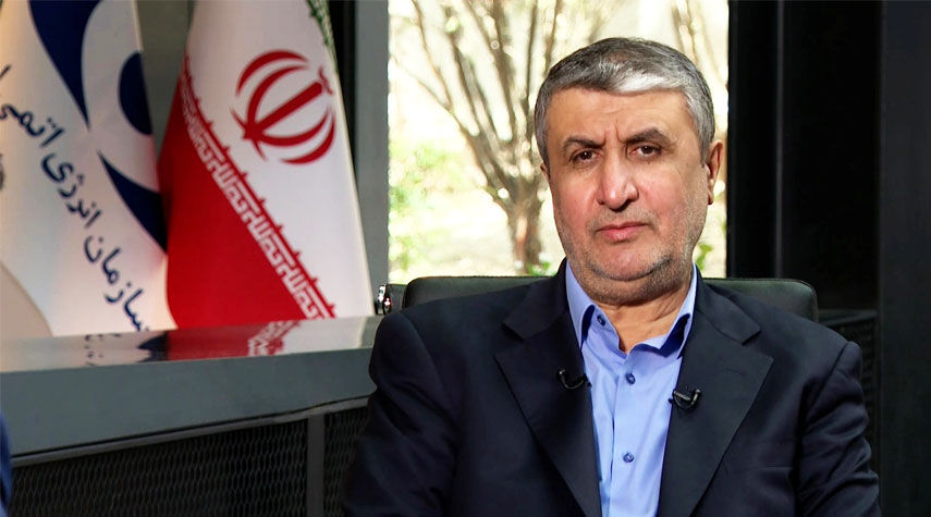 رئيس منظمة الطاقة الذرية الإيرانية : نسعى لتصدير منتجاتنا النووية الى دول أخري