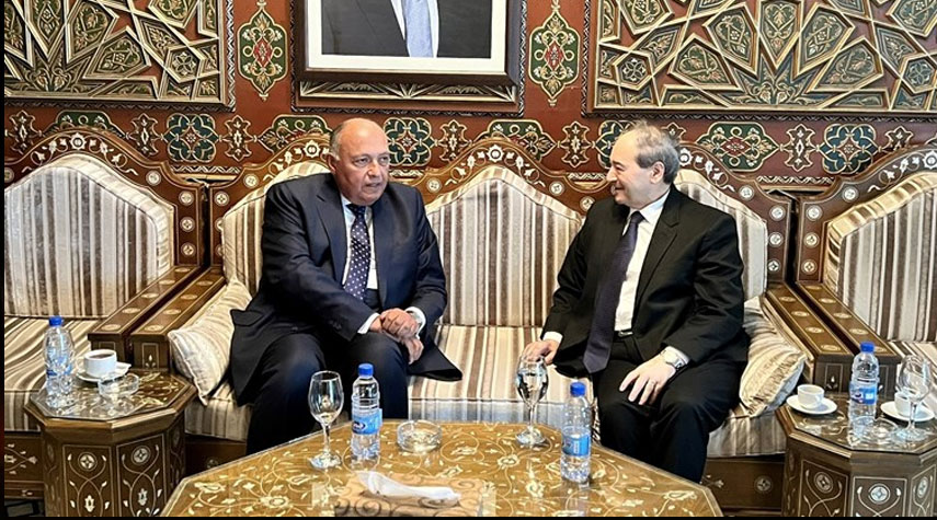 وزير الخارجية المصري يصل إلى دمشق