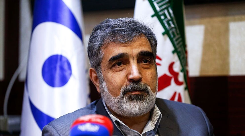منظمة الطاقة الذرية الإيرانية.. تفاصيل محادثات طهران مع غروسي