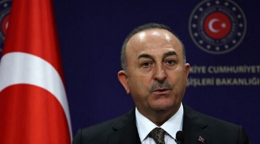 وزير الخارجية التركي يزور مصر اليوم الجمعة