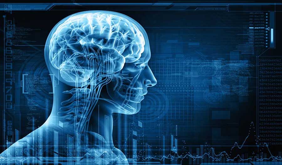 علماء يكتشفون آلية عمل الدماغ في الربط بين الصيام وتحسين صحة الجسم!