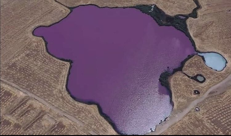 هل تعلم ما سر البحيرة البنفسجية في العراق؟