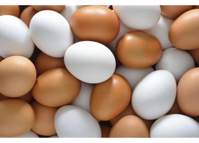 صحيا.. هل هناك فرق بين البيض البني والأبيض؟ 