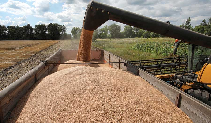 أوروبا تنوي تمديد القيود على استيراد الحبوب الأوكرانية لحماية إنتاجها المحلي