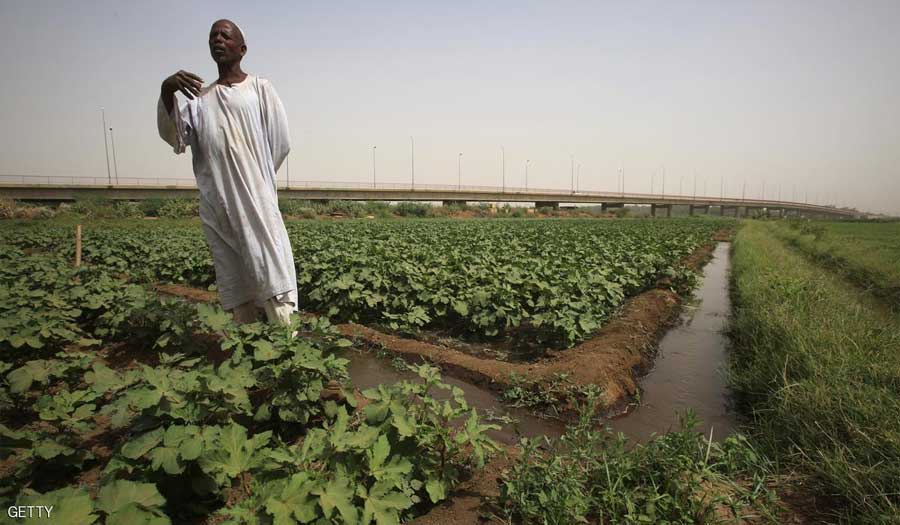 النزاع في السودان يسرع المجاعة والأزمة الاقتصادية 