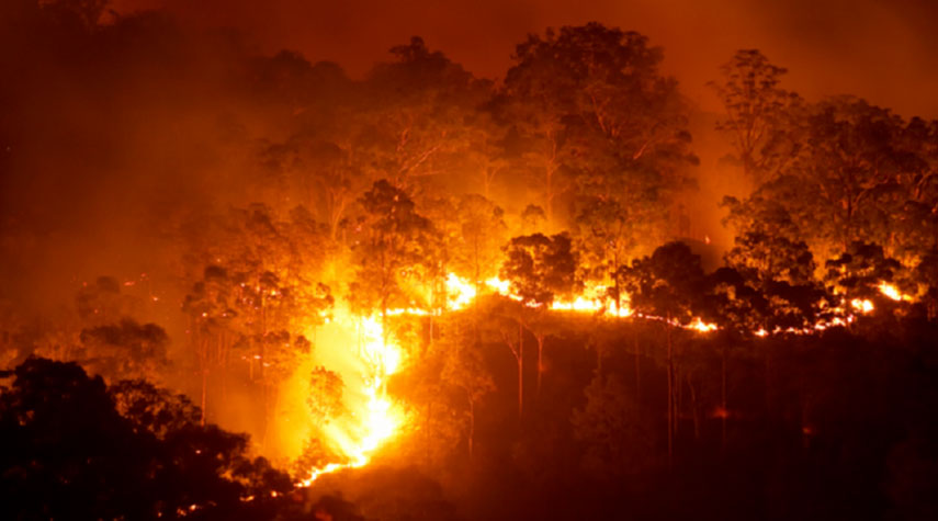 حرائق غابات كاليفورنيا مرتبطة بالتغيرات المناخية