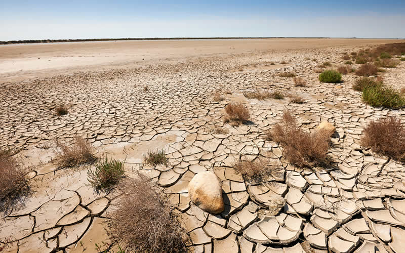 هل تعلم أين تقع المنطقة الأكثر جفافاً في العالم؟