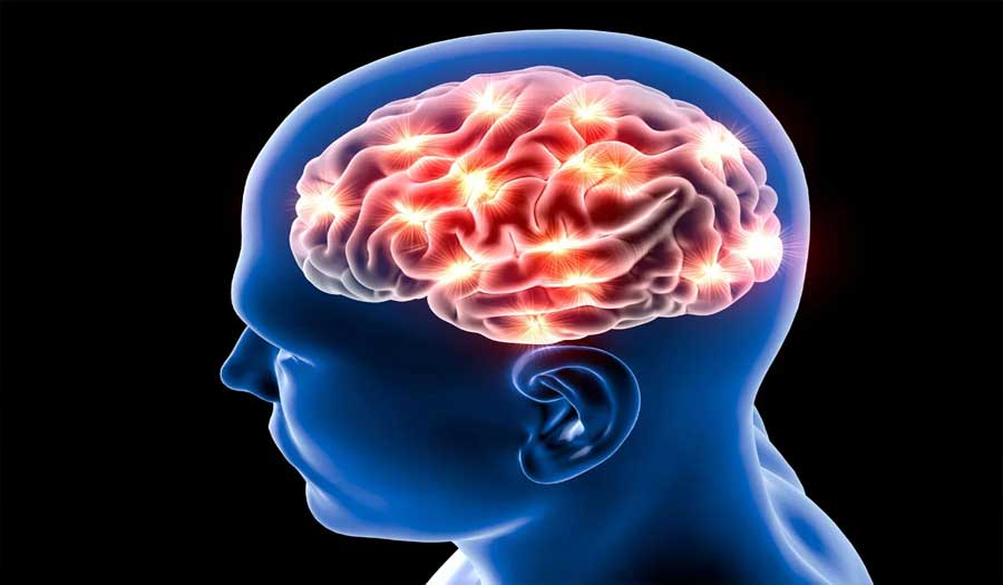 دراسة: مخ الانسان يسترجع الذكريات القديمة عند خوض تجارب جديدة