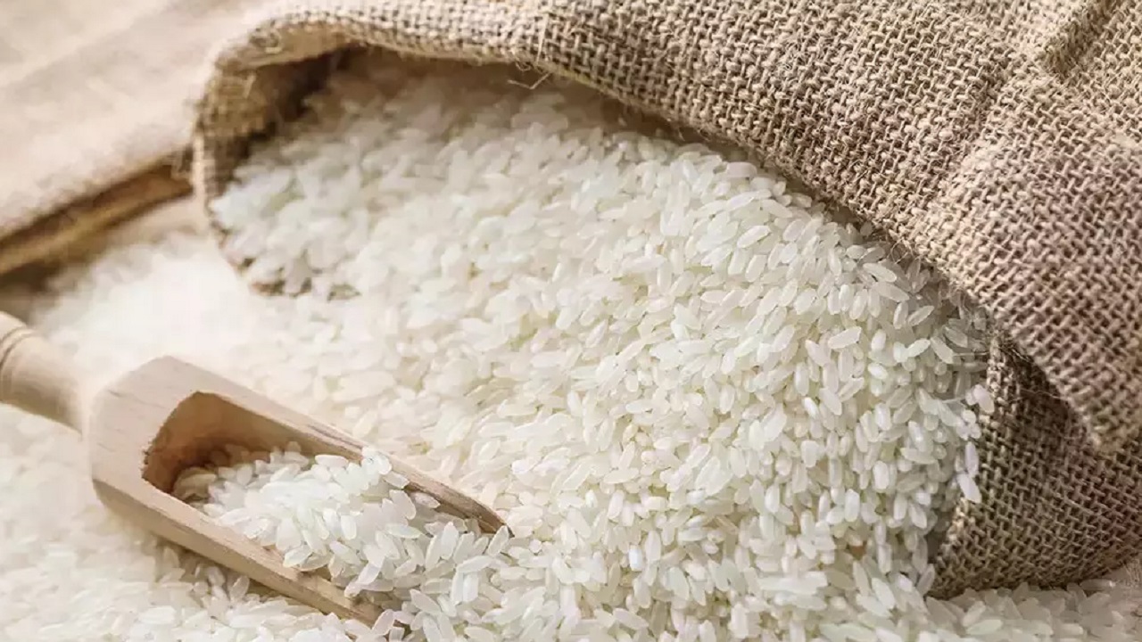 روسيا تحظر تصدير الأرز حتى نهاية العام