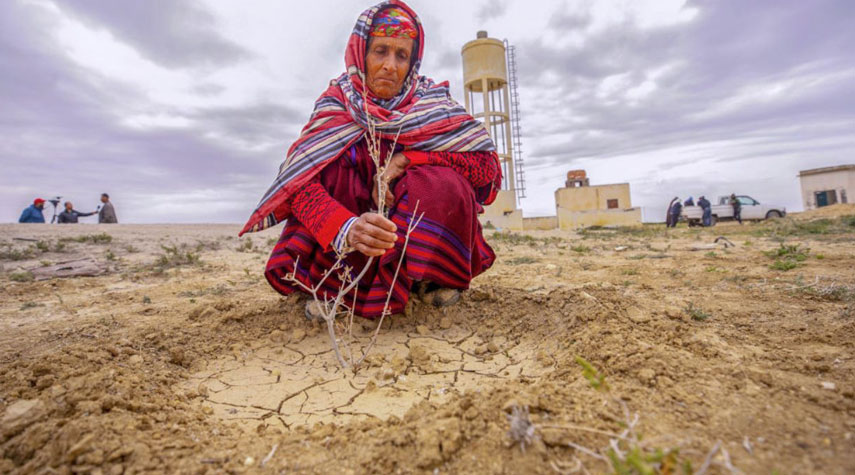 الجفاف يهدد الأمن الغذائي بتونس