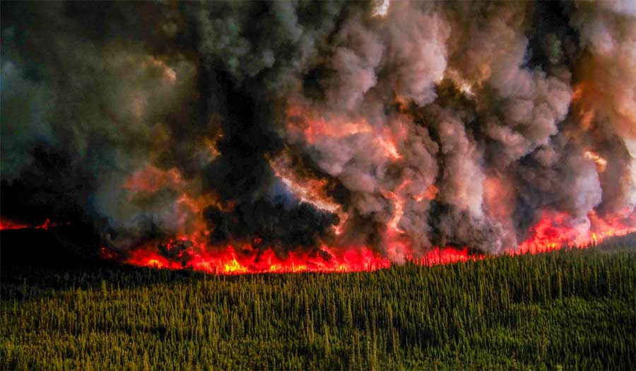 كارثة بيئية.. حرائق الغابات في كندا أطلقت مليار طن من ثاني أكسيد الكربون!