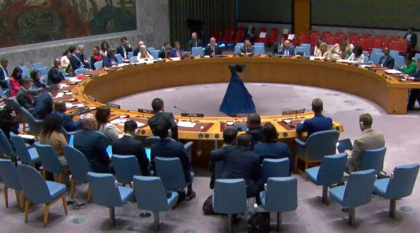 مجلس الأمن الدولي يدين بشدة الهجوم الإرهابي على مرقد "شاهجراغ" في شيراز
